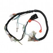 ARNES PRINCIPAL FT125,ITALIKA HRM