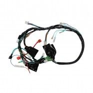 ARNES PRINCIPAL FT150,ITALIK HRM
