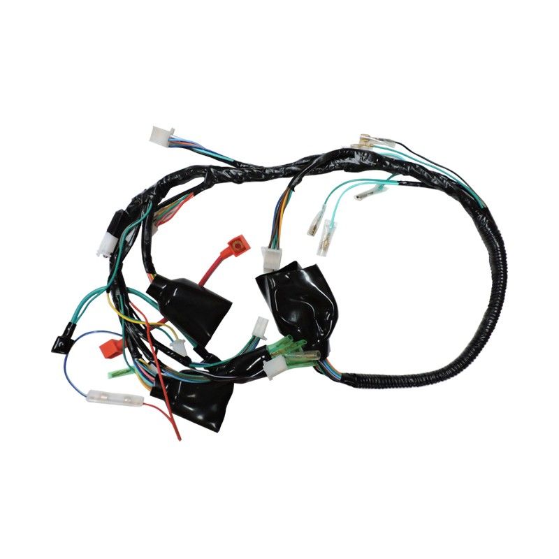 ARNES PRINCIPAL FT150,ITALIK HRM