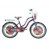 196024 (Bicicleta DISTROLLER Cross CHAMOY R20 1V.)
