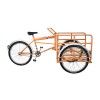 (191100) TRICICLO DE CARGA CHARGER TREJO C-AMERICANO