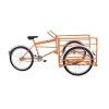 (191101) TRICICLO DE CARGA STD C-AMERICANO