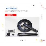 (102375) MULTIPLICACION 39/53T RPT-721-TT-1 170M PROWHEEL