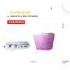 (048280ROS) CANASTILLA R-12 ROSA CON BASE PLATINUM-HB