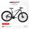 (191539) BICI 29 PROFIT BOSTON X20 24VT-16NEblRO