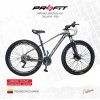 (191543) BICI 29 PROFIT BOSTON X20 24V T-18 NE/DO
