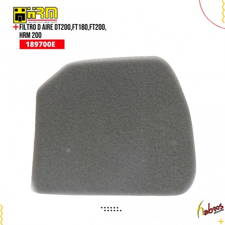 (189700E) FILTRO D AIRE DT200,FT180,FT200, HRM 200